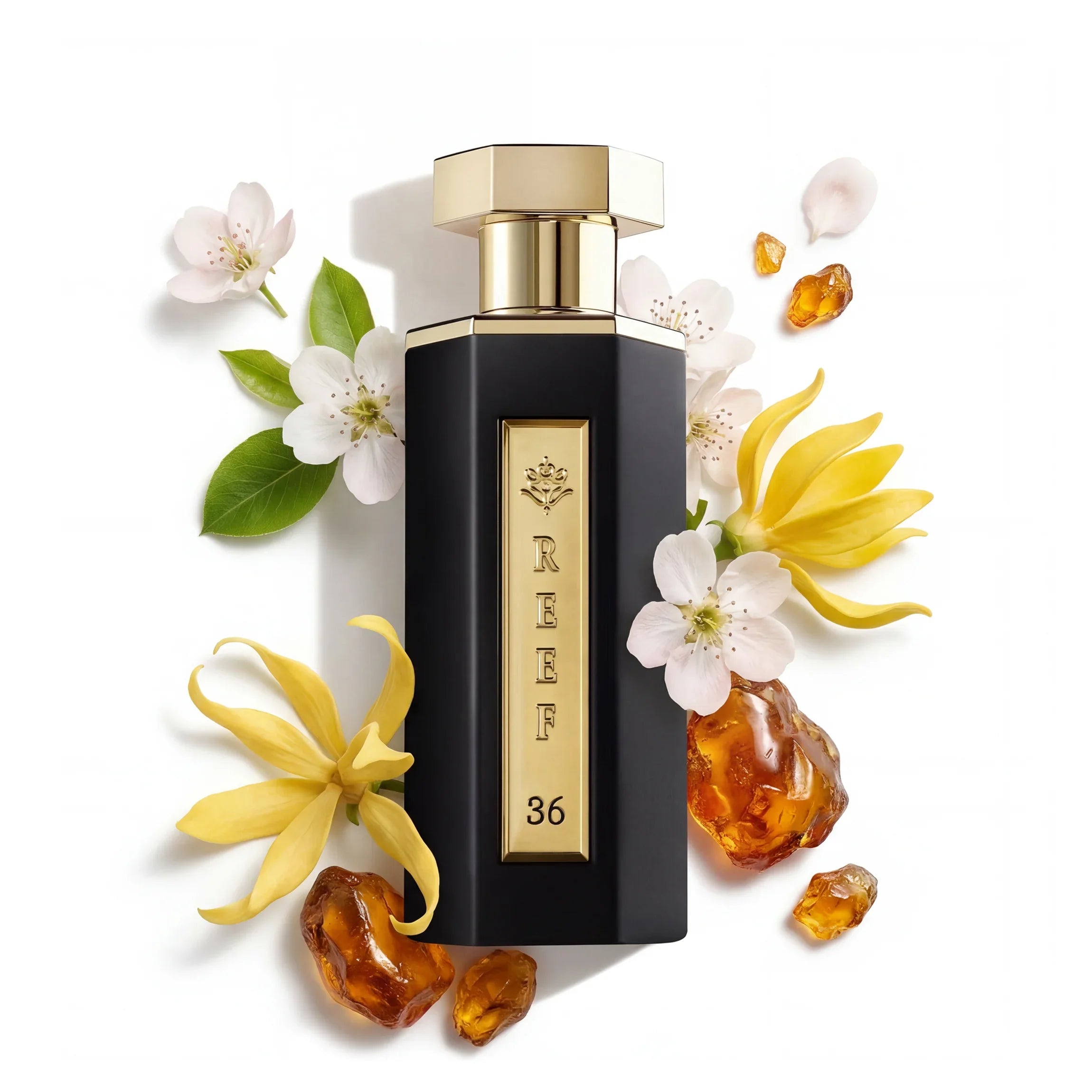 REEF 36 EDP 100ml Classic Perfume - ZADIYAH