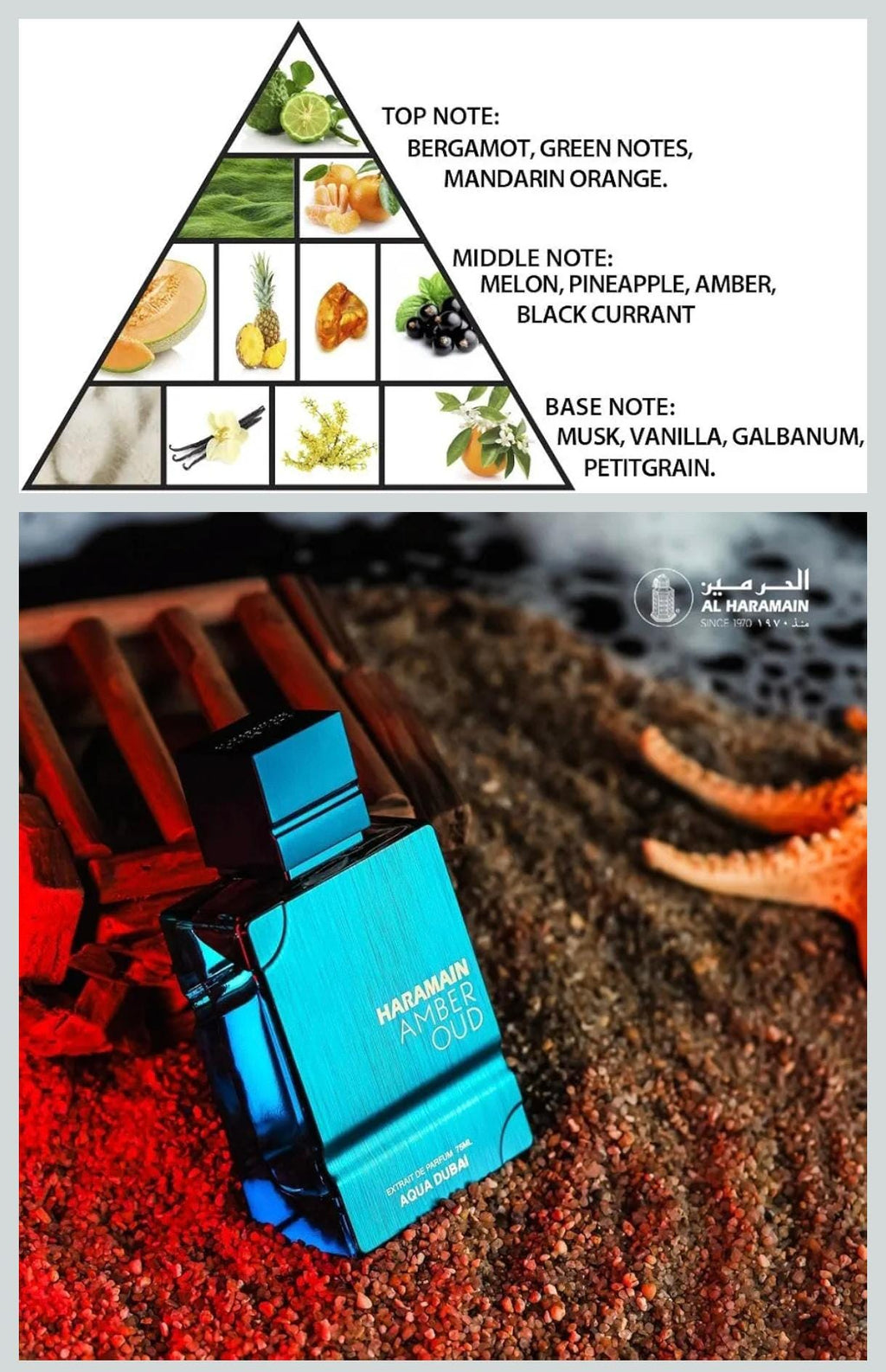 Original Al Haramain Amber Oud Aqua Dubai: Fruity Amber Musk Parfum